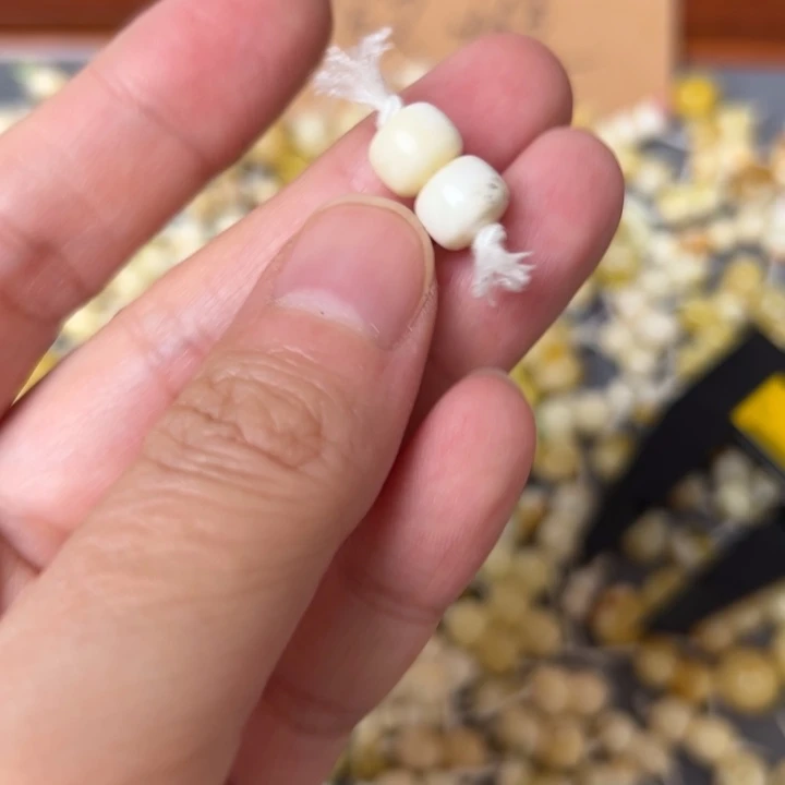 蜜蜡未镶嵌裸石7.9mm一对