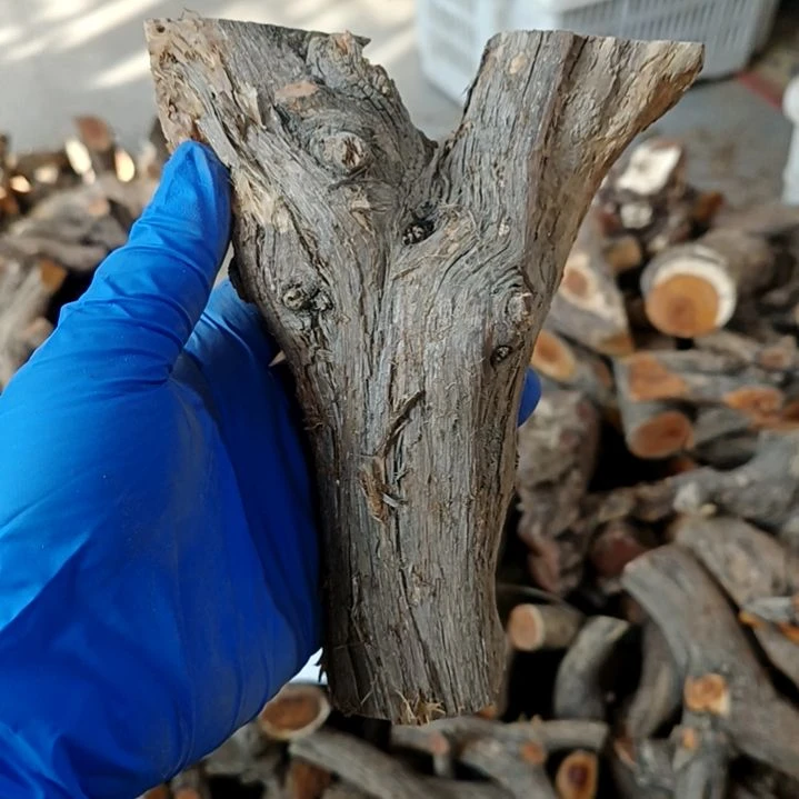 恒***香榧木崖柏原叉崖柏原叉崖柏