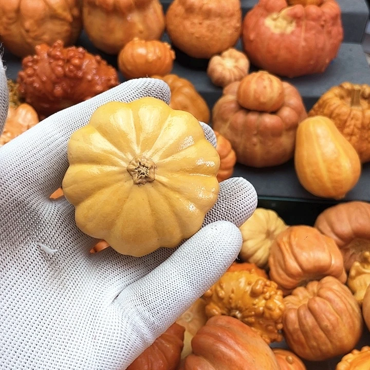 ****℠墨西哥家居摆件创意