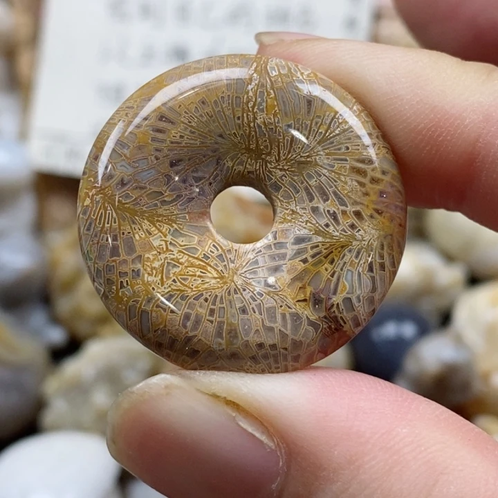 颈饰未镶嵌硅化珊瑚（珊瑚玉）小