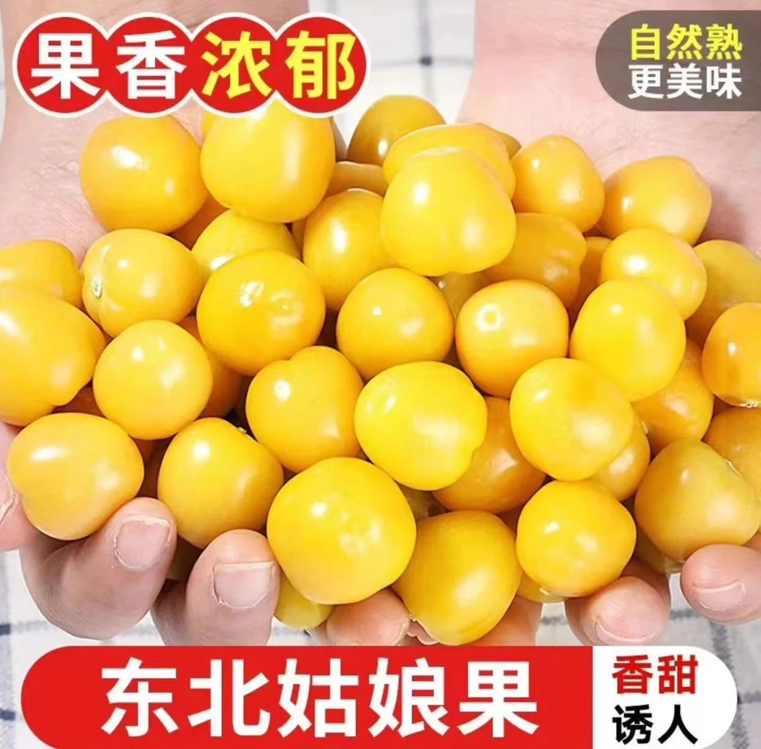 【顺丰包邮】东北姑娘果1/3斤装 新鲜现摘现发稀有水果清甜多汁