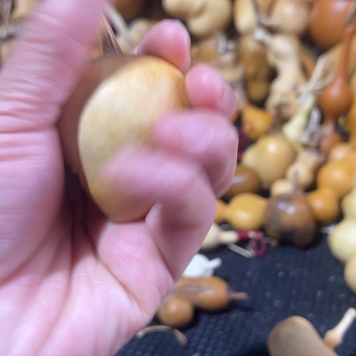 赵***天葫芦哈哈哈哈哈哈哈哈