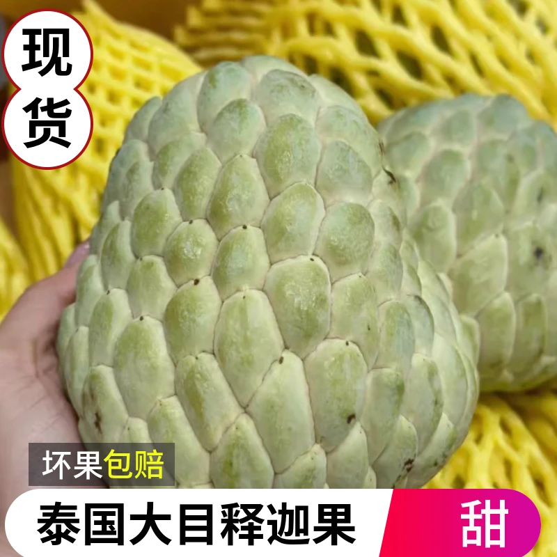 泰国大目释迦果牛奶新鲜当季热带水果大果番荔枝释迦佛头果批发邮