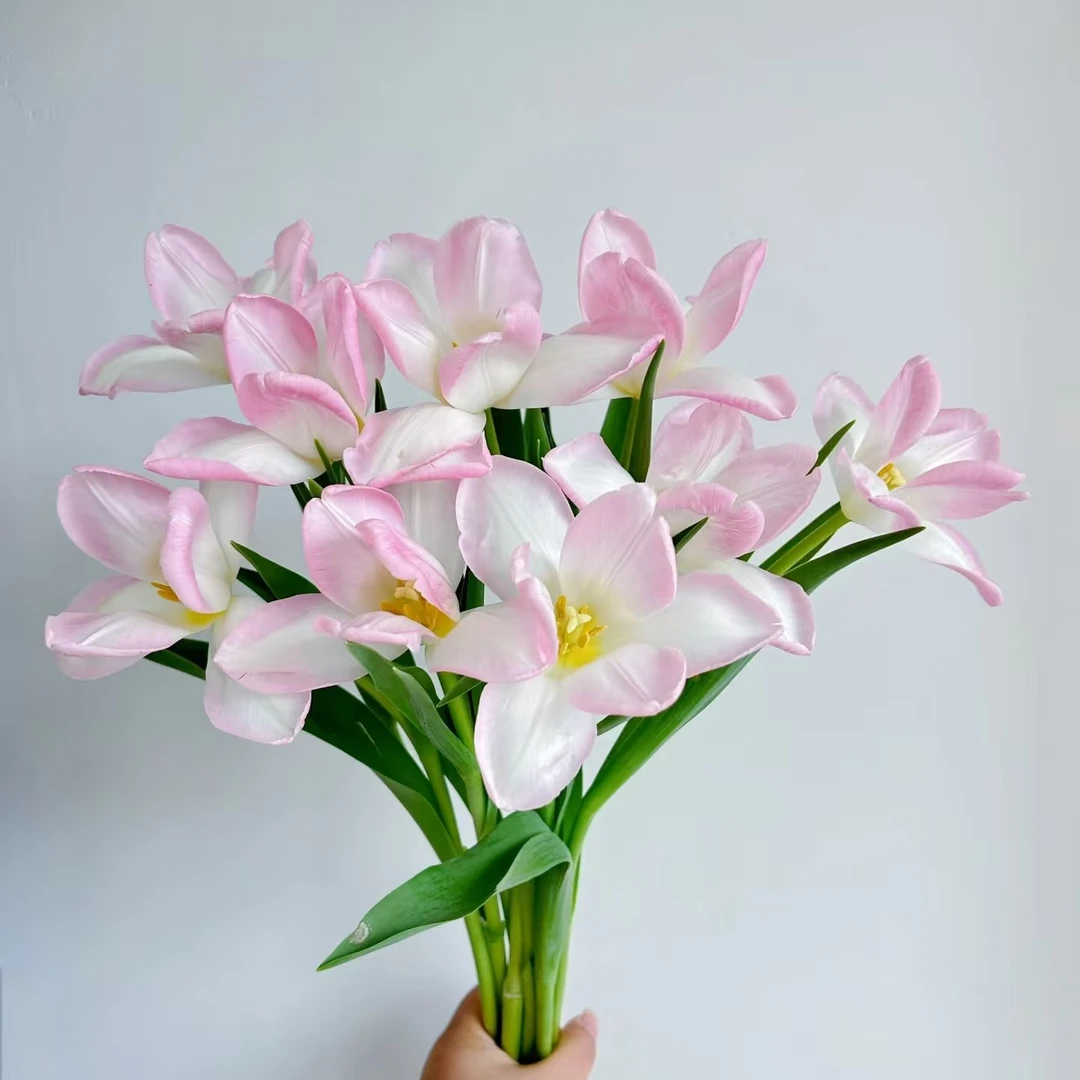 [海盛] 10枝海盛马卡龙郁金香 20cm左右会长个【两单发京东或顺丰】