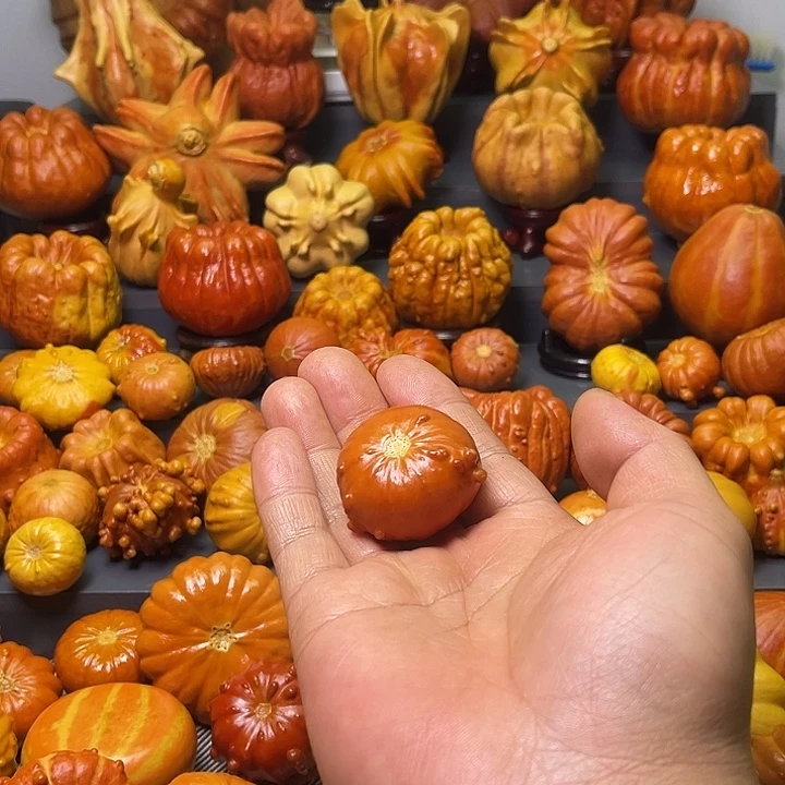 ****、大叶紫檀（黑酸枝木类）