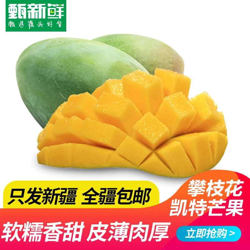 甄小鲜【只发新疆】四川攀枝花凯特芒果4公斤包邮有坏包赔香甜软糯