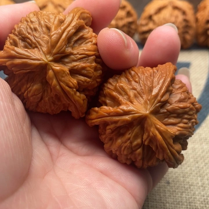 勇***士核桃白狮子42核桃