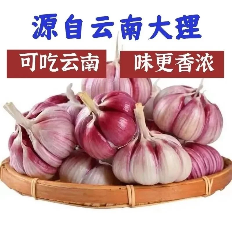 云南紫皮大蒜新鲜红皮多瓣香蒜腌蒜泡蒜湿蒜