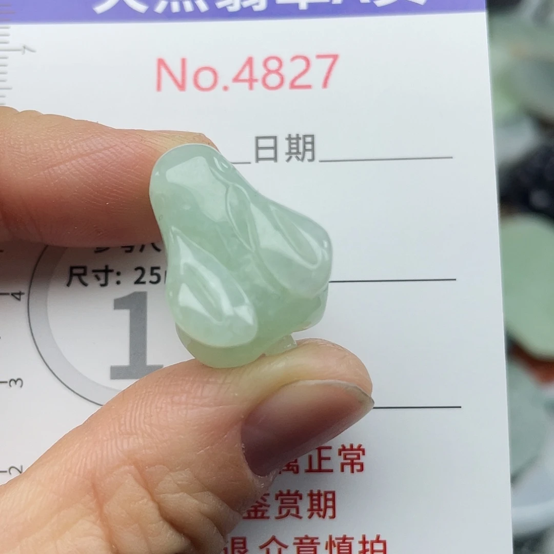 翡翠未镶嵌挂件4827