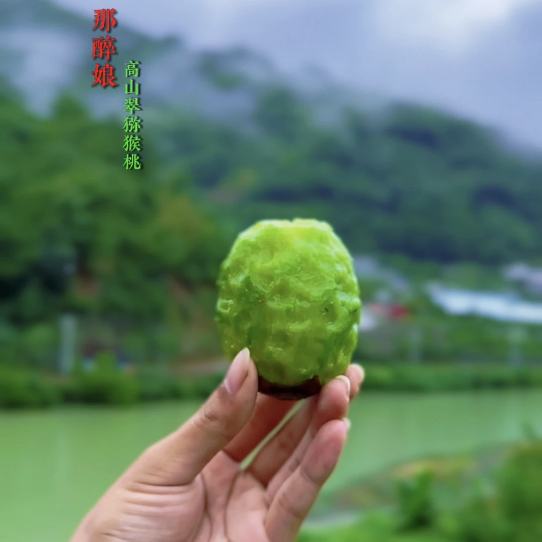 陕西翠香绿心猕猴桃当季新鲜水果现摘现发