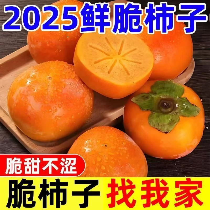 【6个装】包脆包甜正宗陕西脆柿子新鲜巧克力脆柿应季水果脆甜不涩