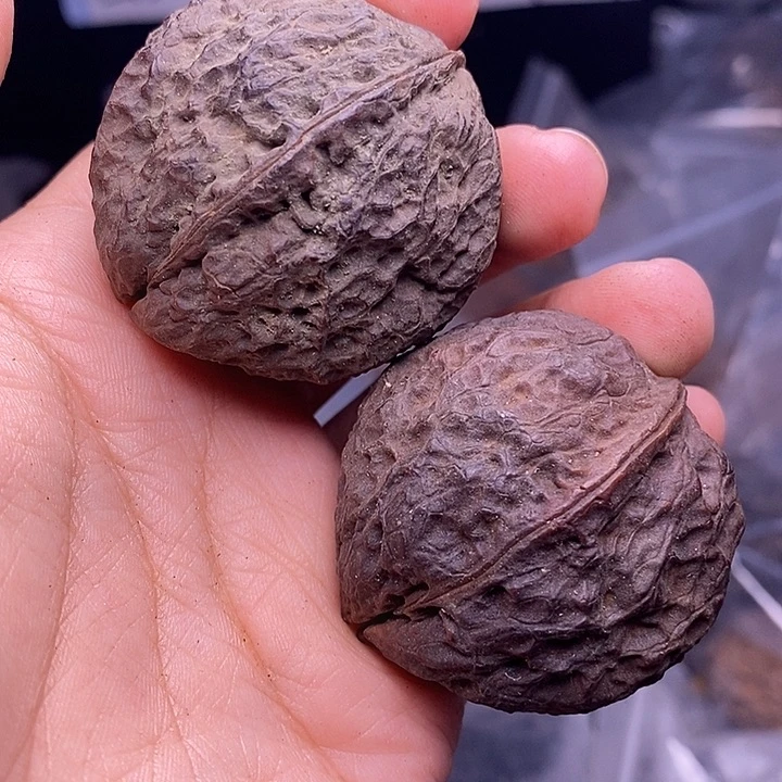把件文玩核桃   137