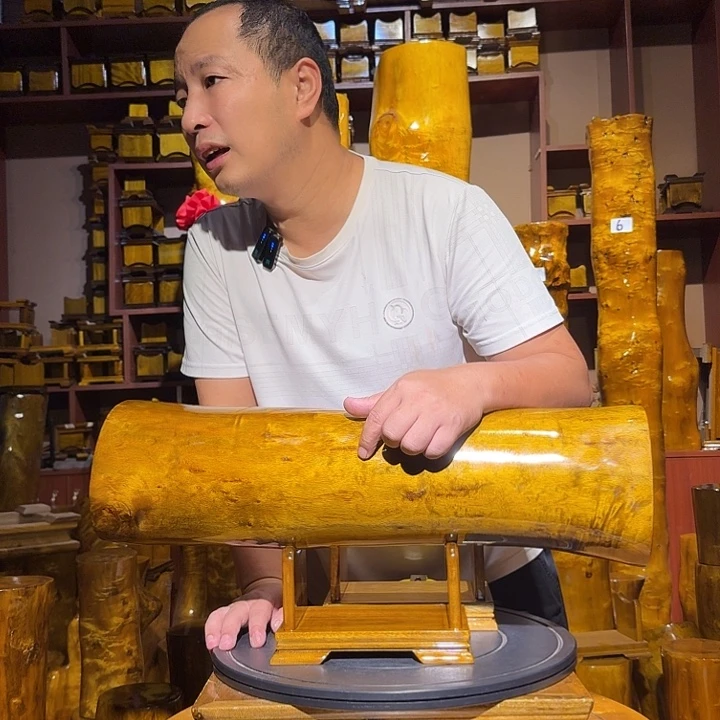 承***等金丝楠小叶桢楠金丝楠木