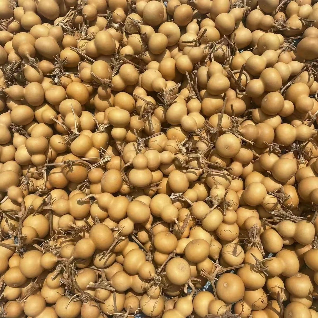 4文玩素葫芦盘玩小葫芦手捻小葫芦(直播间专用链接)