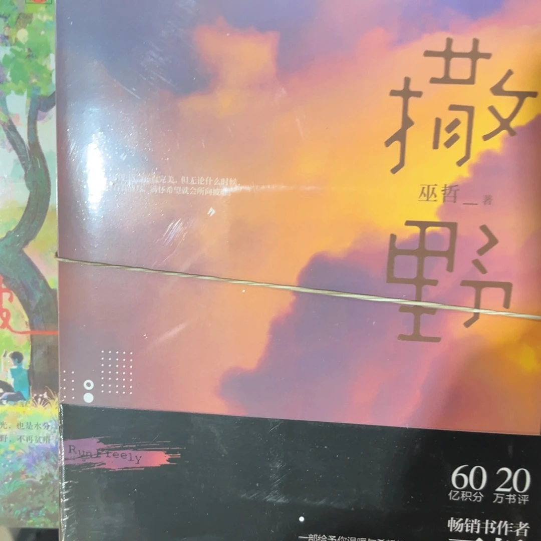 撒野新书全套福利