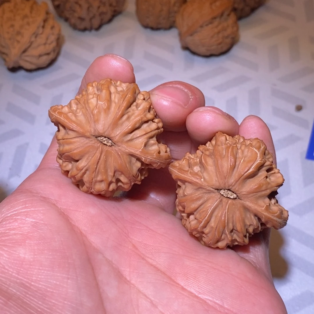 y*k40尺 全品无修 白茬 磨盘