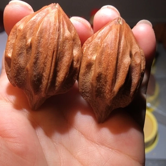 文玩核桃把件金刚杵橄榄