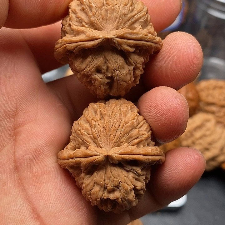 文玩核桃把件白狮