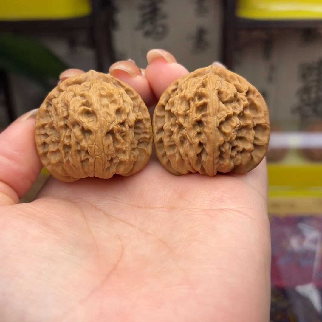 ，***，白狮子头三十八尺