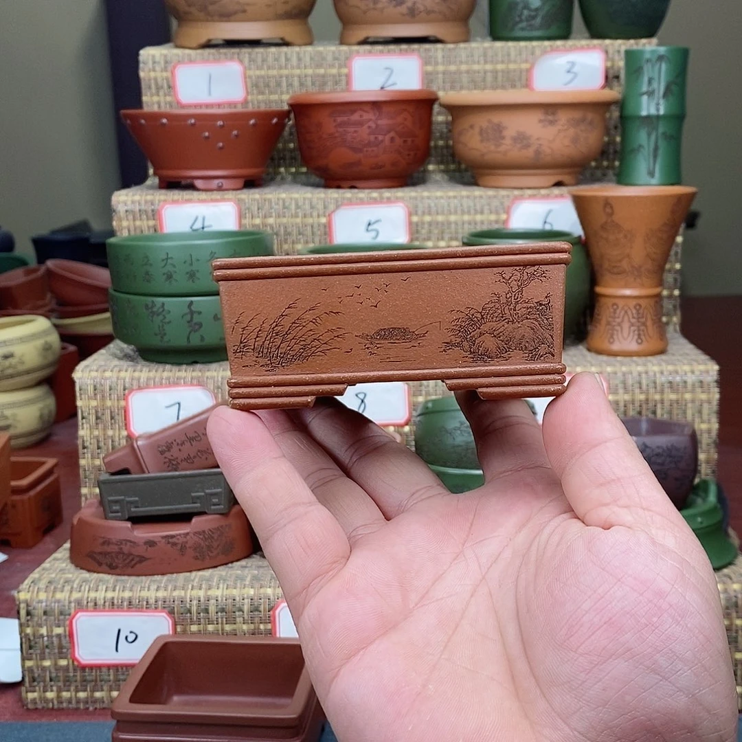 紫砂花盆我在等一