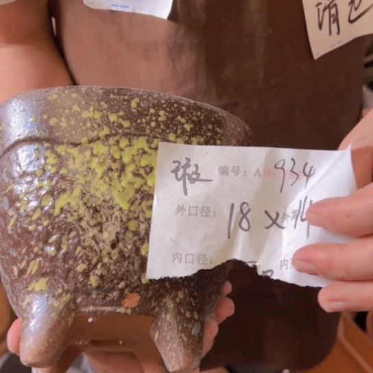 紫砂花盆花卉工艺