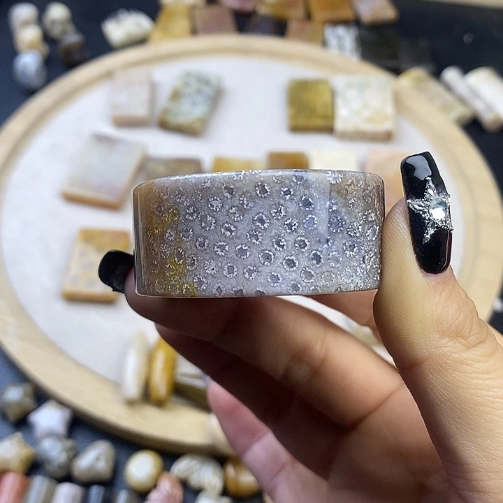 硅化珊瑚（珊瑚玉）未镶嵌颈饰24