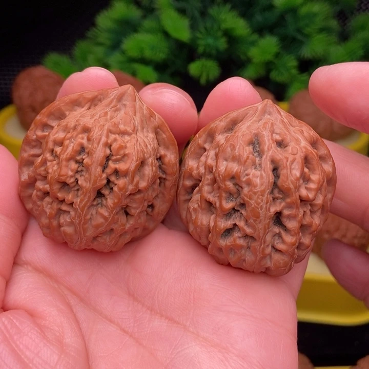 凤凰台40全品11111111