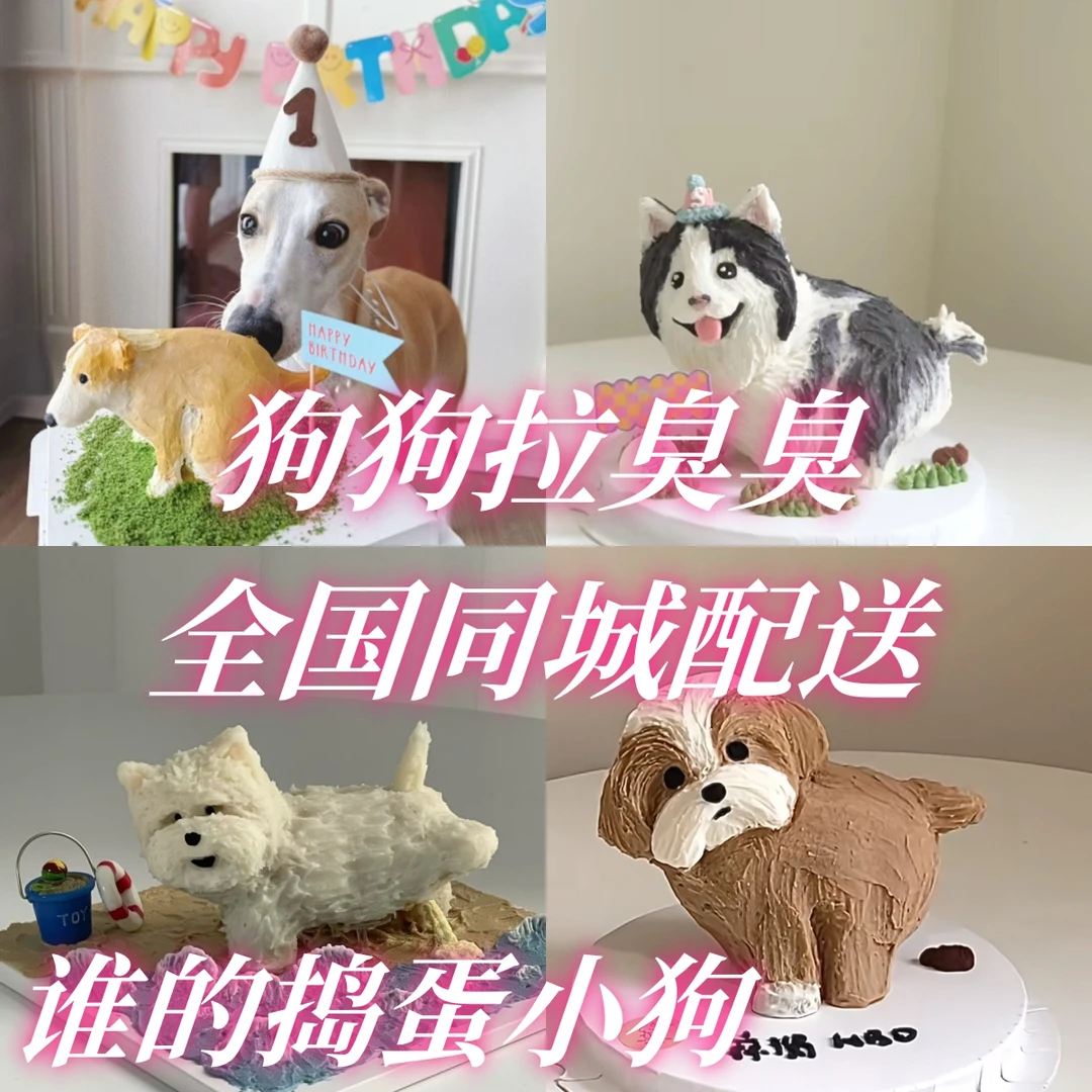 拉屎小狗喷火燃烧生日蛋糕送朋友搞笑男孩女孩蛋糕同城配送抖音