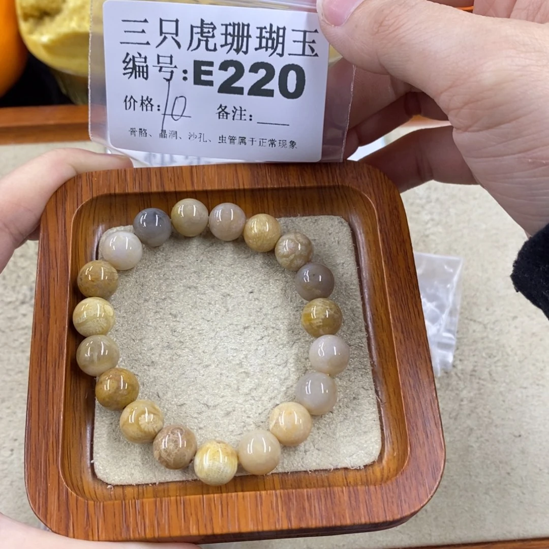 硅化珊瑚（珊瑚玉）1未镶嵌1*7