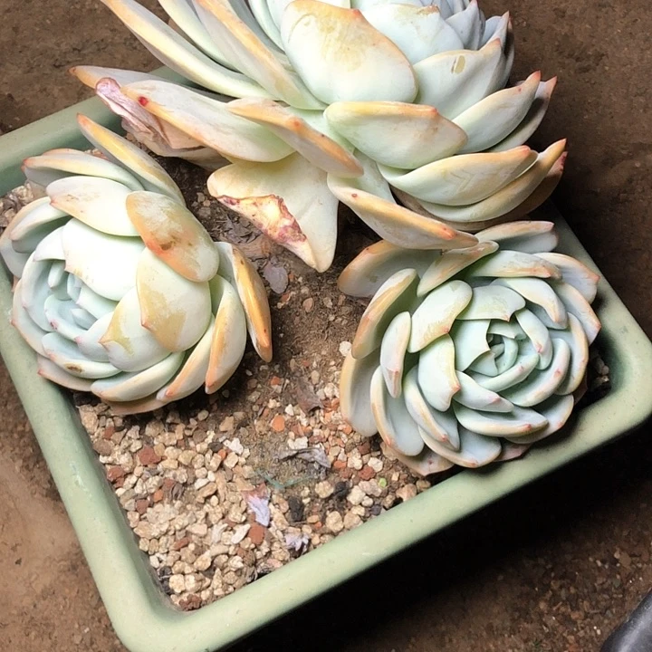 木*108//////////////