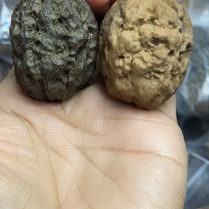 文玩核桃把件云南铁核桃基地37