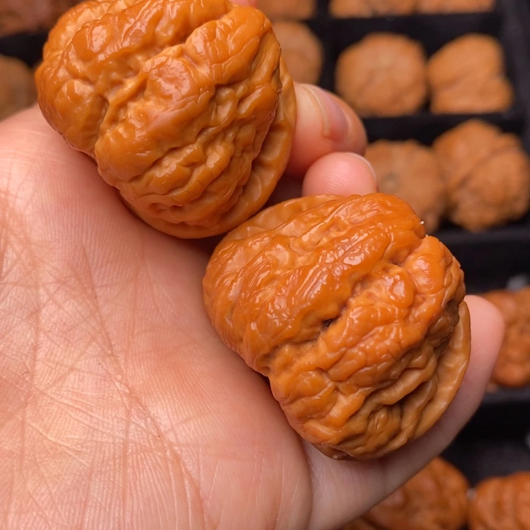 秦岭野生文玩核桃