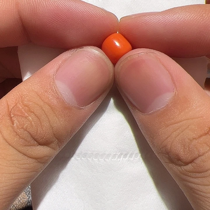 香榧木在这里的时候
