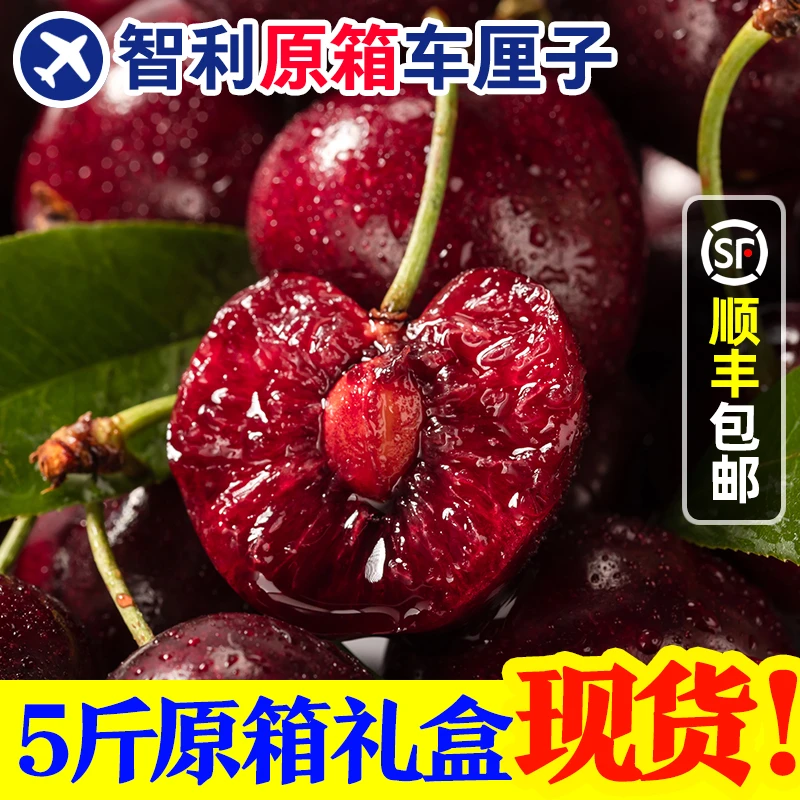 【推荐5斤原箱·4J-3J】TY智利进口车厘子海运5斤 内附果径卡