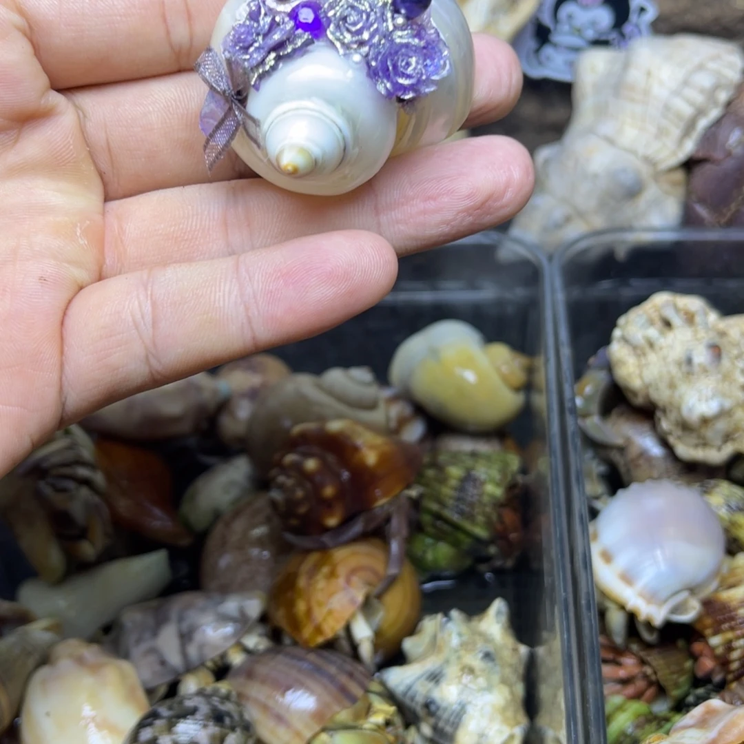 花花手工壳25米一个