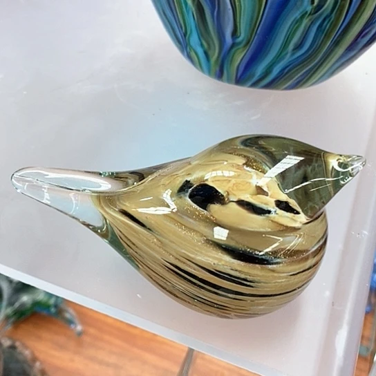 小鸟高6厘米了8厘米