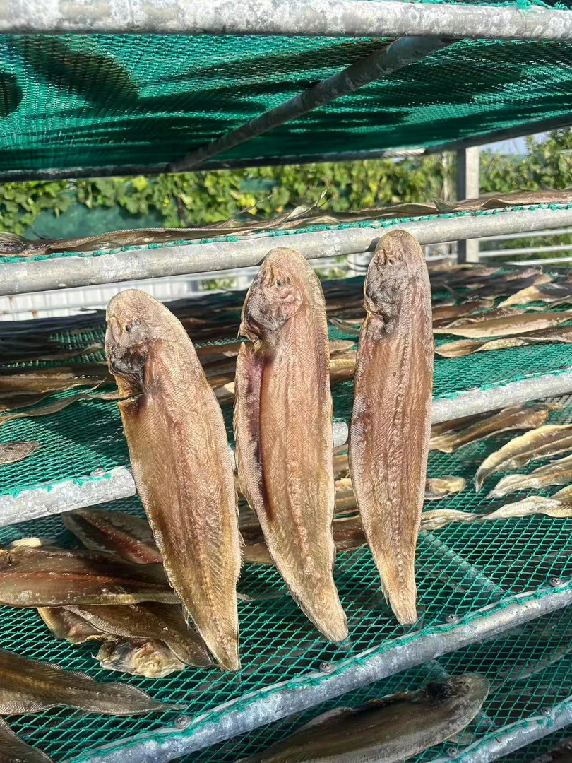 渔民自晒龙利鱼香煎清蒸500g/1000g/1500g