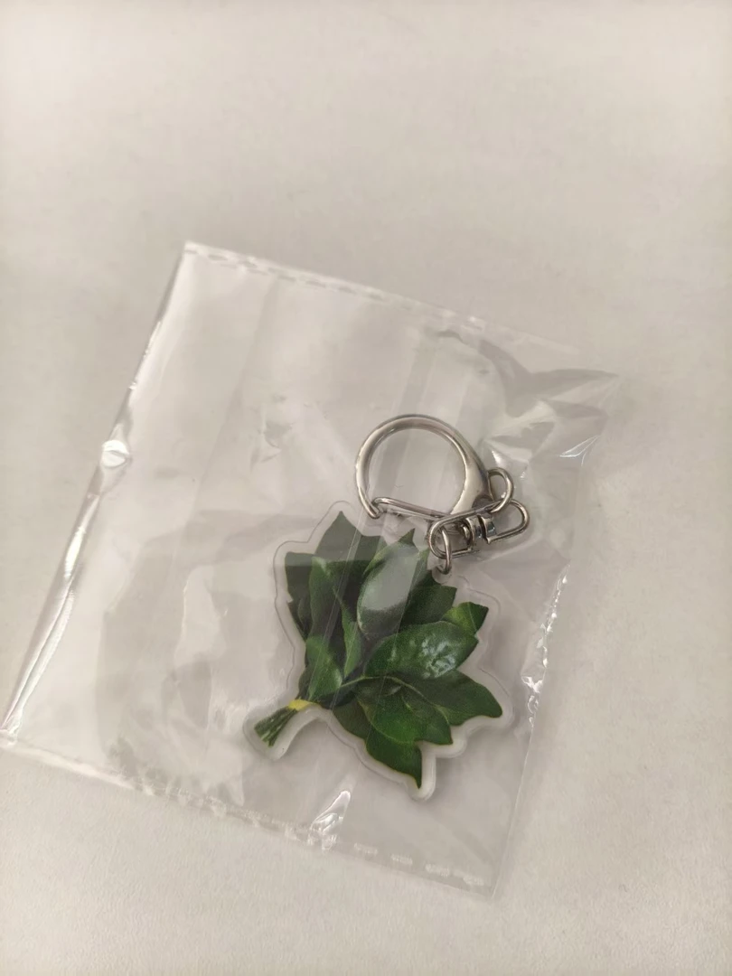 去晦柚子叶挂件一个【鱼子酱专属】