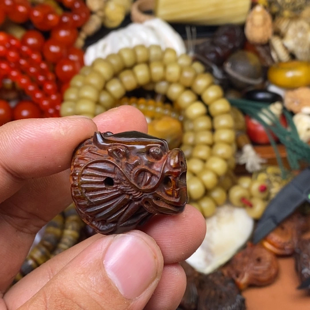 其他驼骨人工饲养