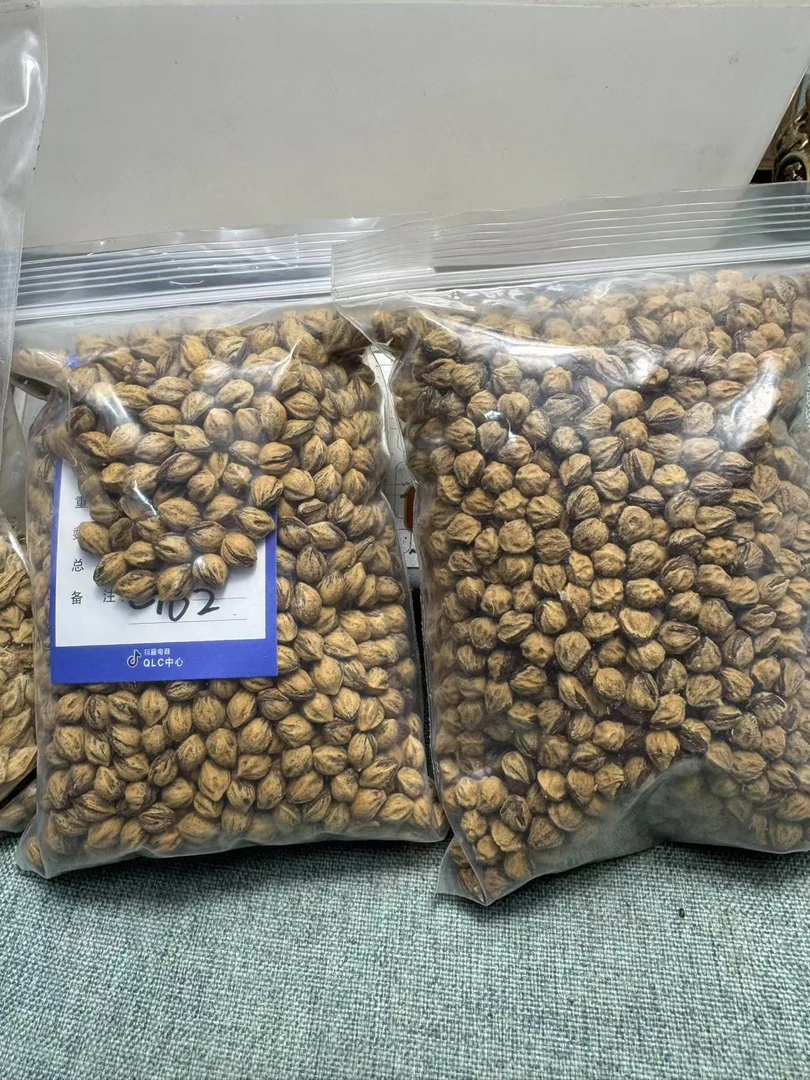 热振柏香籽新手练手籽包能玩红100g多样性随机发货保证没挑过