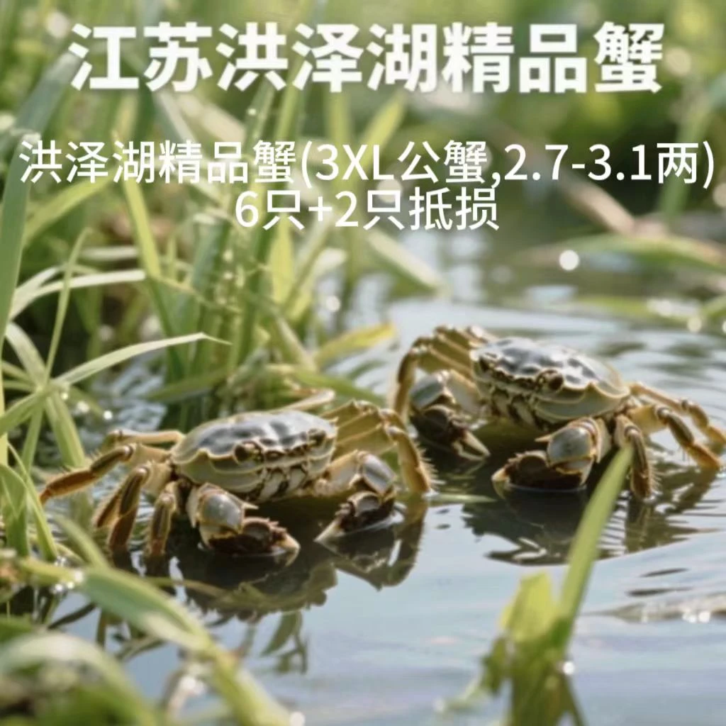 洪泽湖精品蟹(3XL公蟹,2.7-3.1两)6只+2只抵损