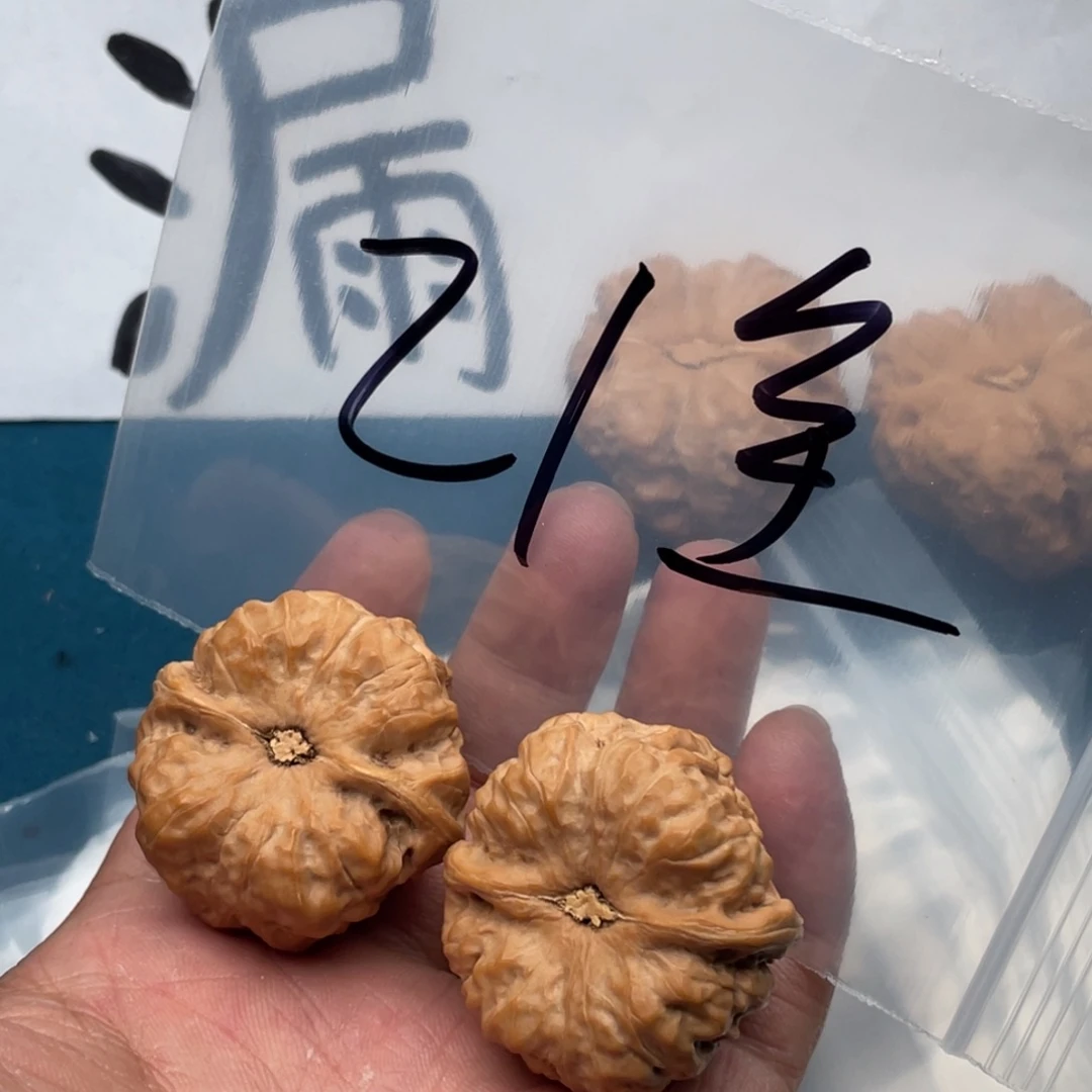 683683469496469964