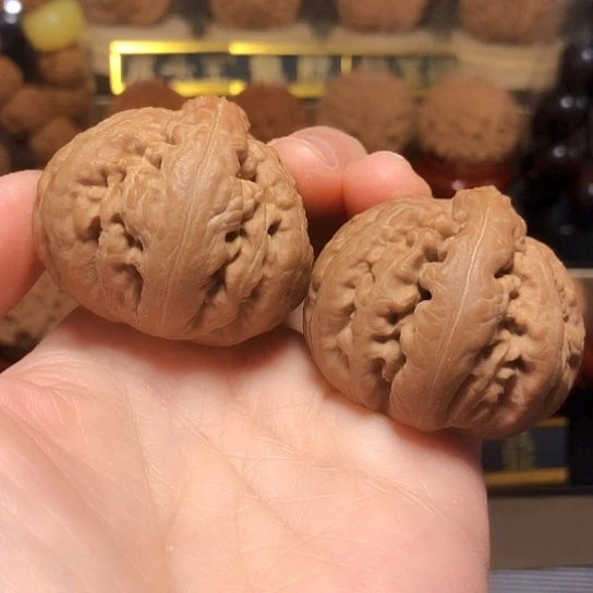 精品霸王龙全品无瑕