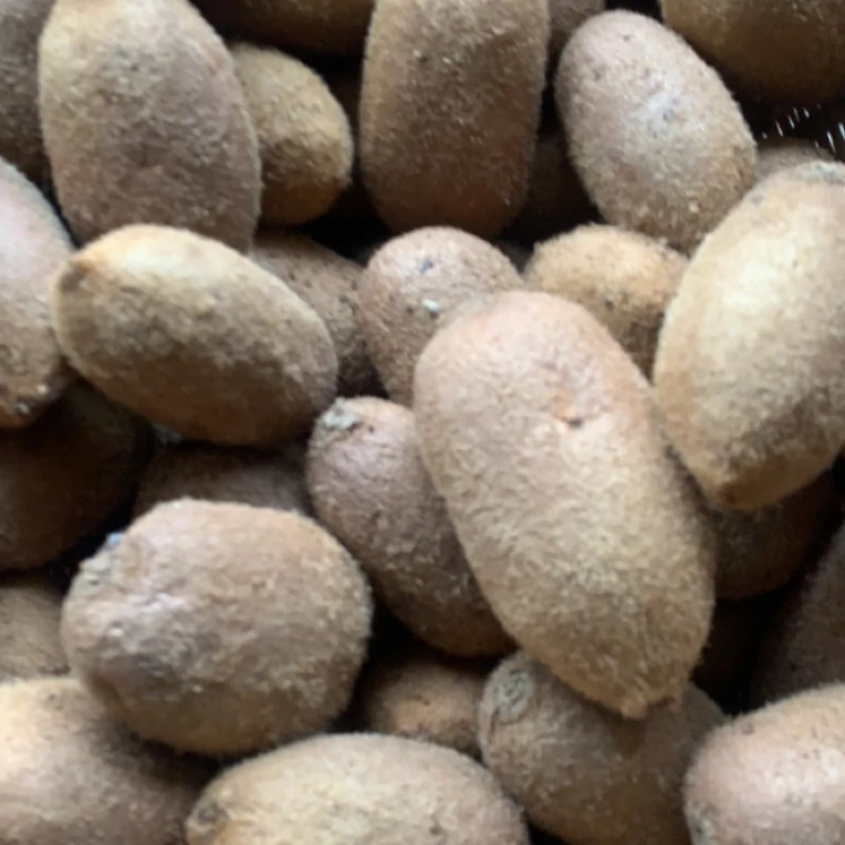 湖南 野生猕猴桃 3斤