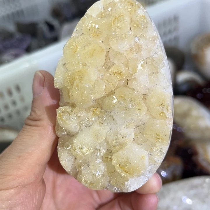 未镶嵌发饰水晶黄金大牙蛋