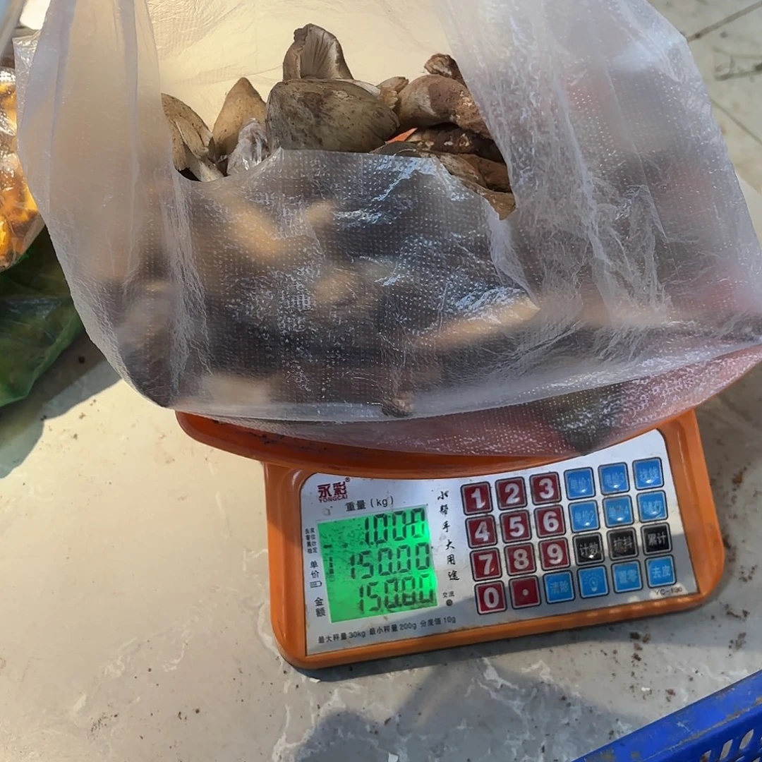 天***心云南小表妹野生菌代购中国大陆