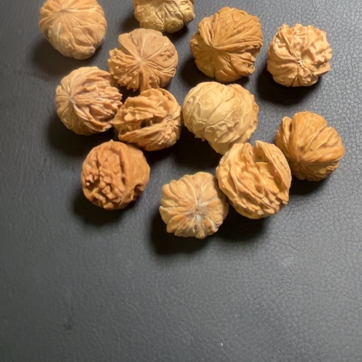w****赖小蛇12只核桃哈哈哈哈哈