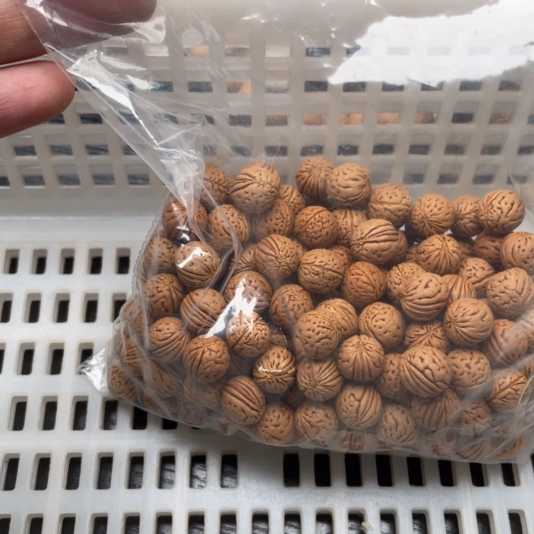 【闪购商品】是**吖散子186个200元