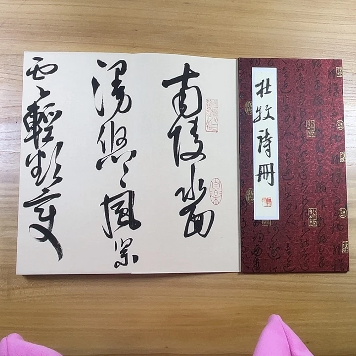 书法中书协老师作品