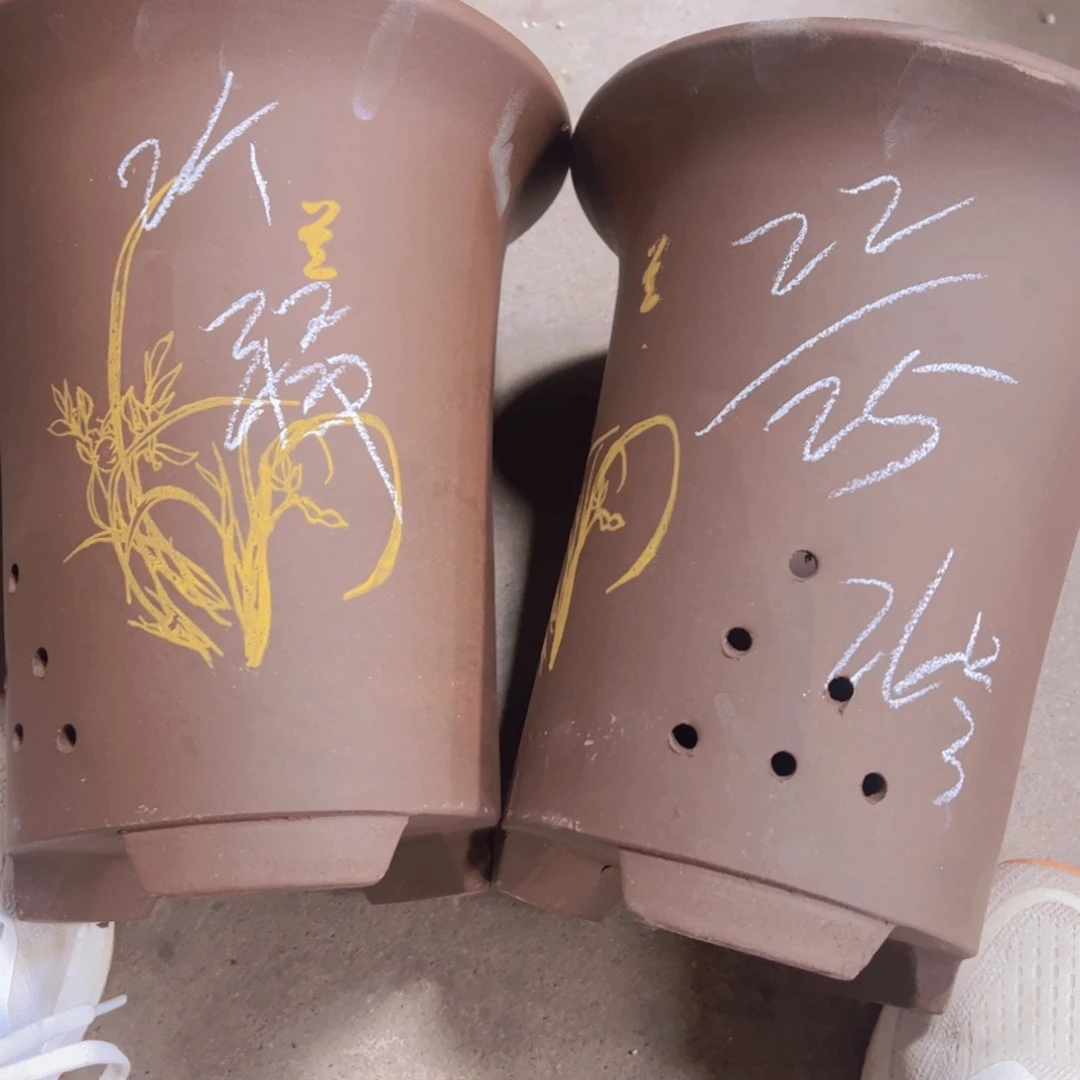 26…………………………………………………………